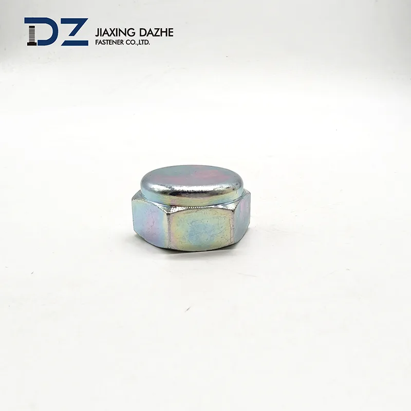 Hex Head Cap Nut